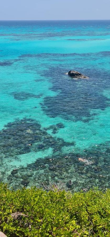 Ocean Colors * Rocky Point
